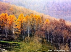 岳麓區(qū)制作企業(yè)網(wǎng)站如何搭建